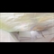 thumbnail Les 24 petits bulletins